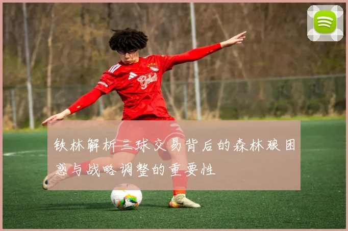 铁林解析三球交易背后的森林狼困惑与战略调整的重要性
